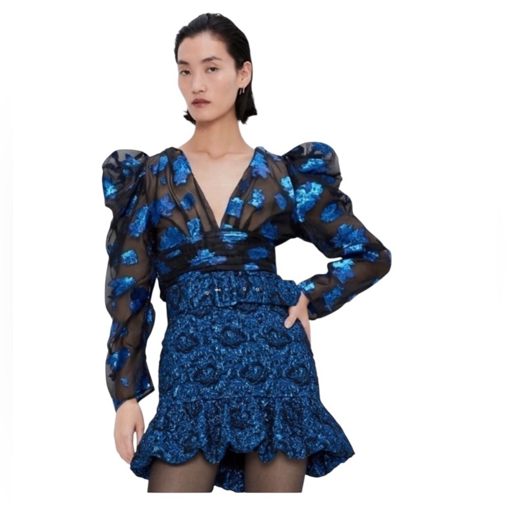 Zara Metallic Floral Sparkly Puff Sleeve Organza Blouse Size M